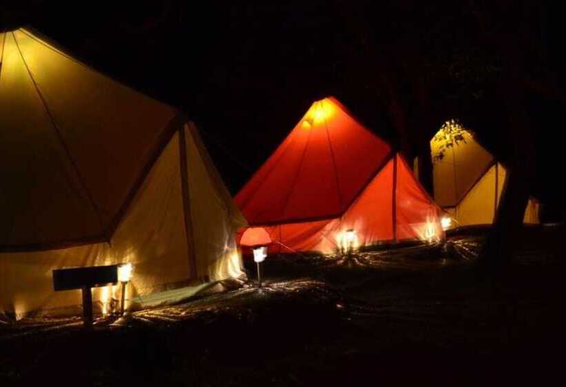 ユースホステル Howlers Bay