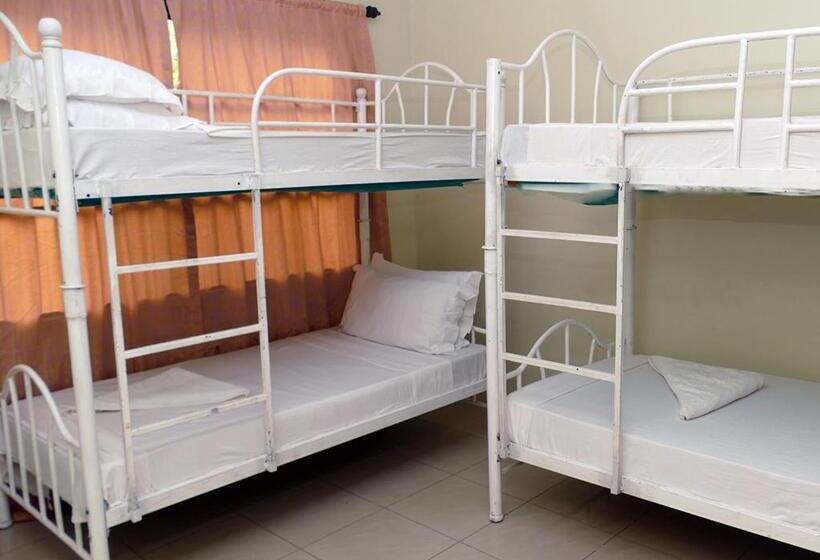 هاستل Runako Lodge