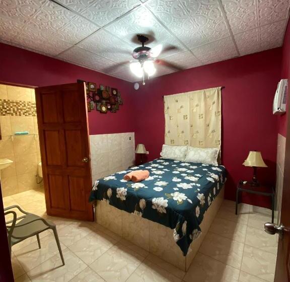 旅馆 Windmill Hostal