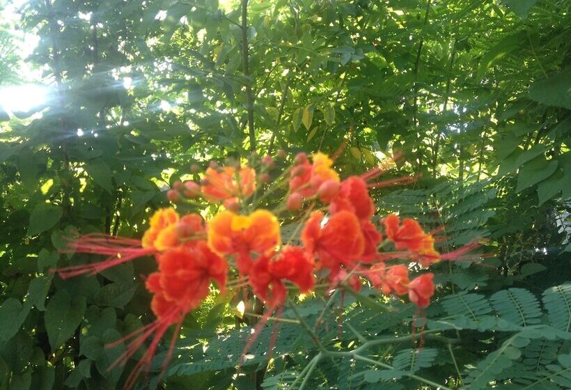 B&b La Casita Del Farallón