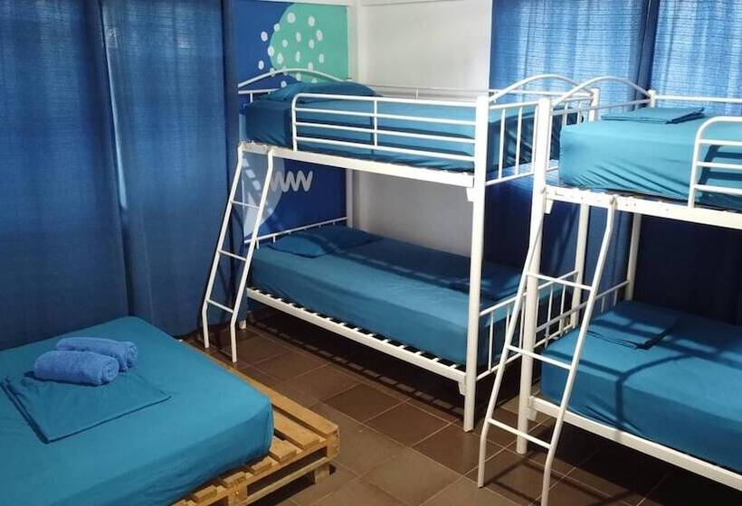 Bed and Breakfast Acuarela Hostal