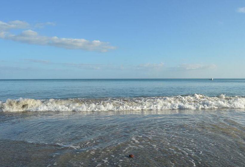 Bed and Breakfast Acuarela Hostal