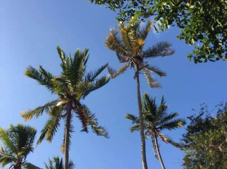 Bed and Breakfast Acuarela Hostal