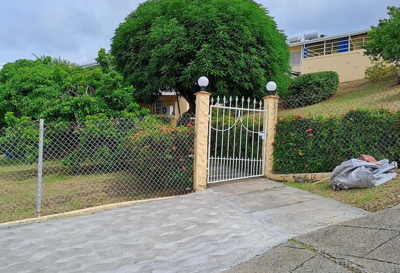 민박 Ade's Domicil