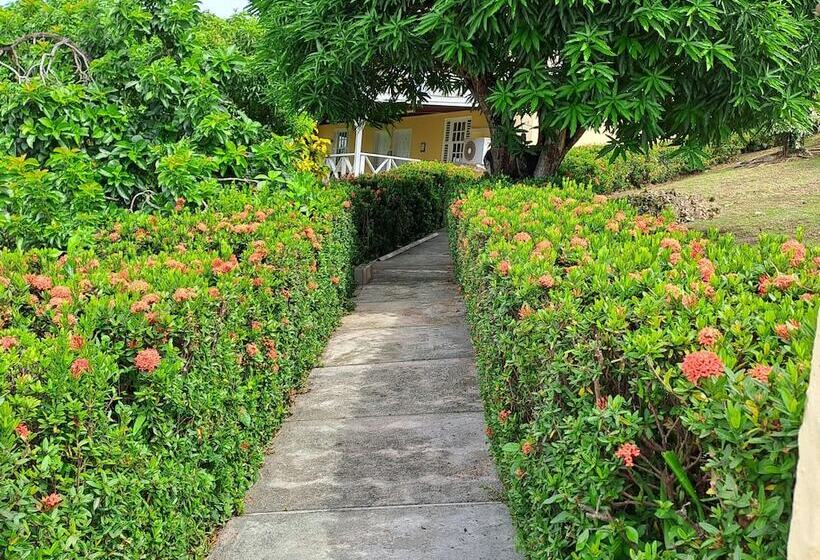 민박 Ade's Domicil