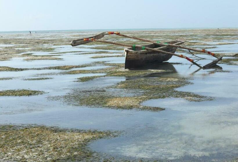 住宿加早餐  Bahari Beach Bungalows