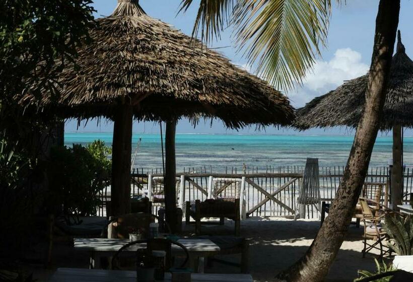 住宿加早餐  Bahari Beach Bungalows