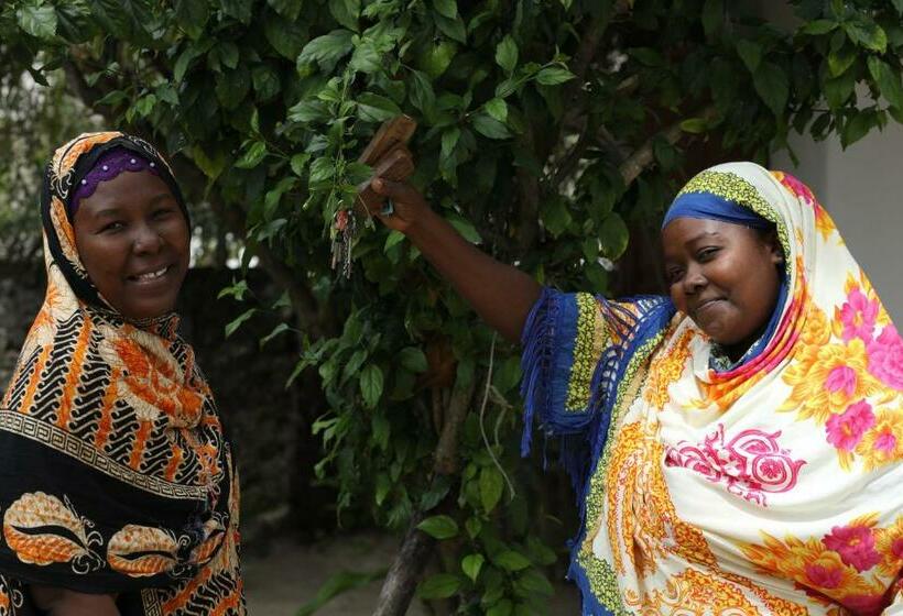 住宿加早餐  Bahari Beach Bungalows