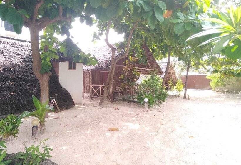 住宿加早餐  Bahari Beach Bungalows