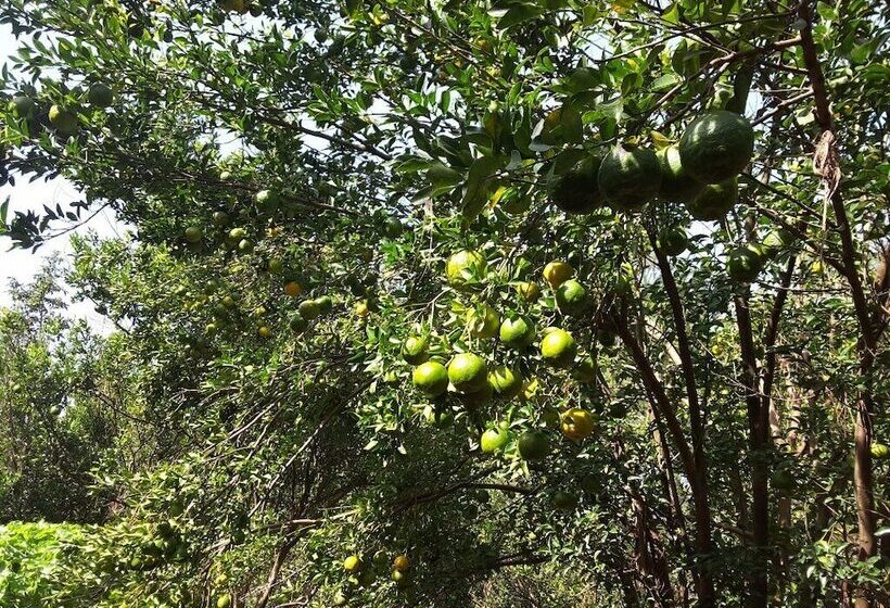 تختخواب و صبحانه Brownstone Country Home