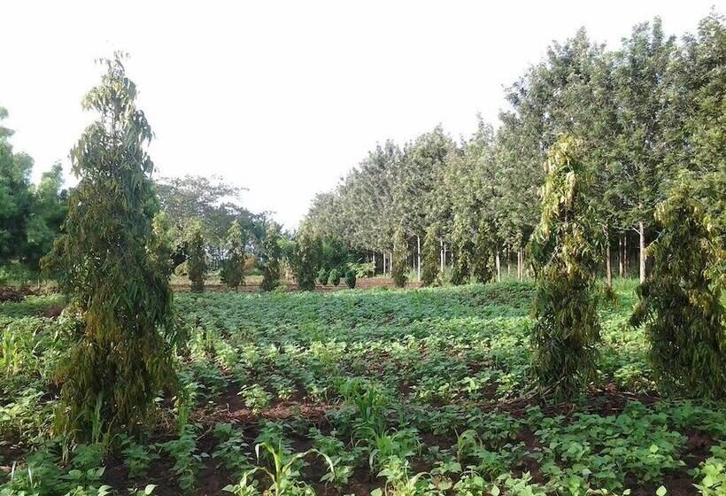 تختخواب و صبحانه Brownstone Country Home