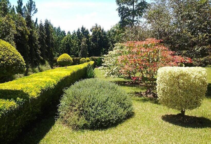 تختخواب و صبحانه Brownstone Country Home