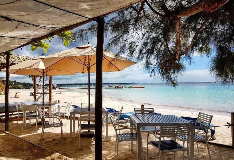 Bed and Breakfast Eco Hotel Club Rolling Stone