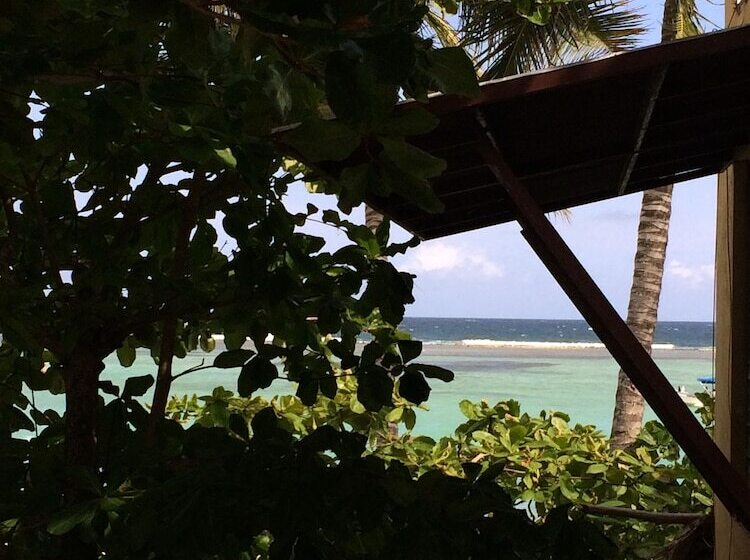 Bed and Breakfast Eco Hotel Club Rolling Stone