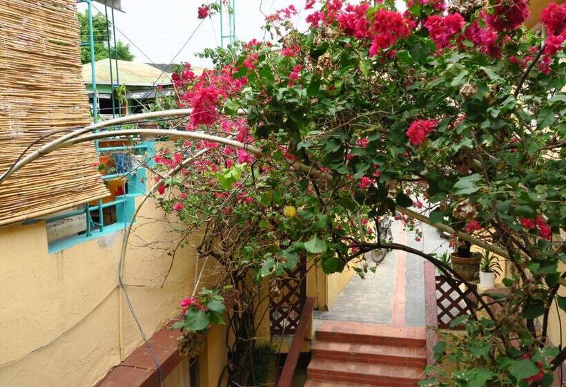 Bed and Breakfast Eco Hotel Club Rolling Stone