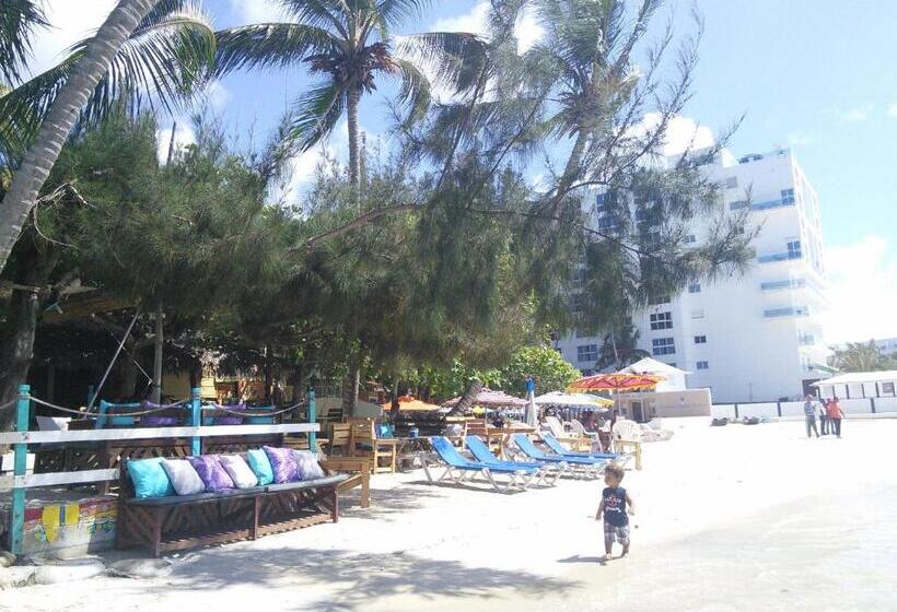 住宿加早餐  Eco Hotel Club Rolling Stone