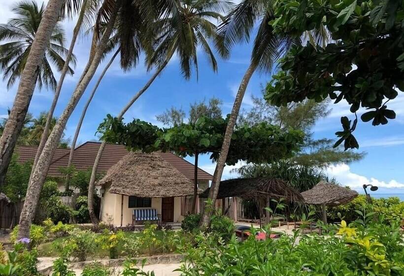 ベッドアンドブレックファースト Family Beach Bungalows