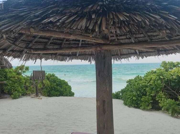 ベッドアンドブレックファースト Family Beach Bungalows