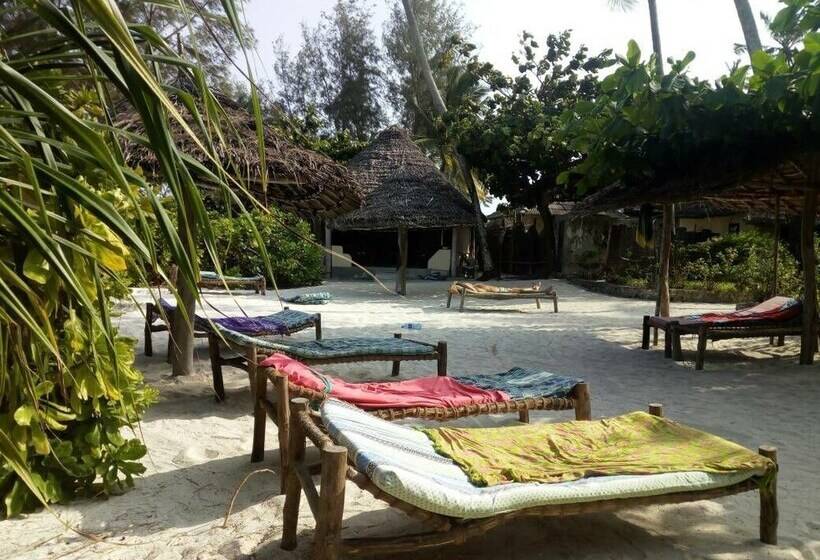 ベッドアンドブレックファースト Family Beach Bungalows