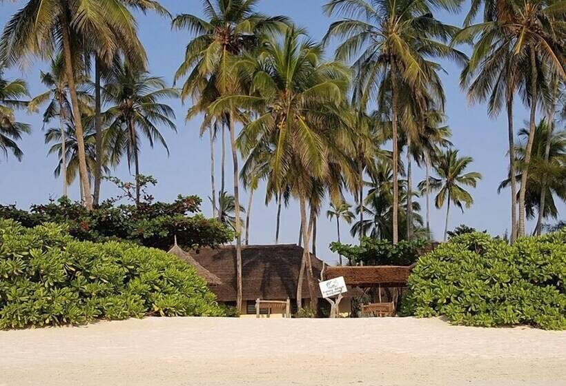 ベッドアンドブレックファースト Family Beach Bungalows