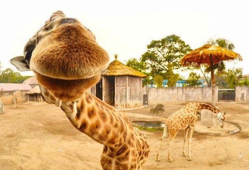 민박 Hostal Villa Toscana