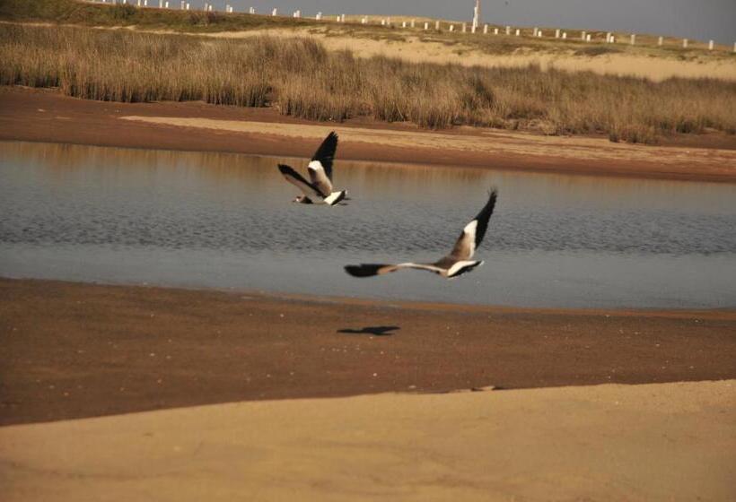 تختخواب و صبحانه La Atrevida