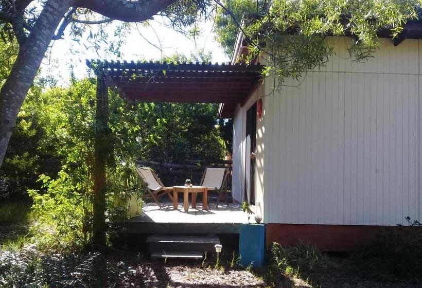 Bed and Breakfast La Maison Suites & Gastronomía