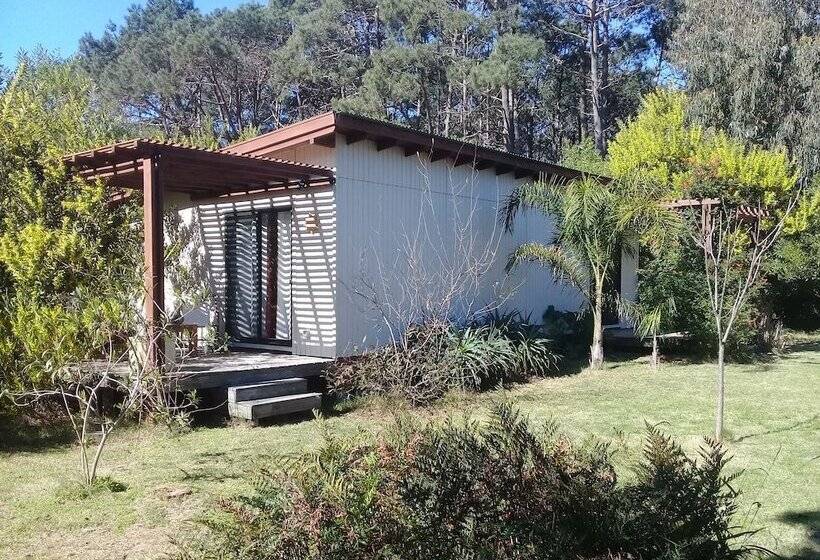 Bed and Breakfast La Maison Suites & Gastronomía