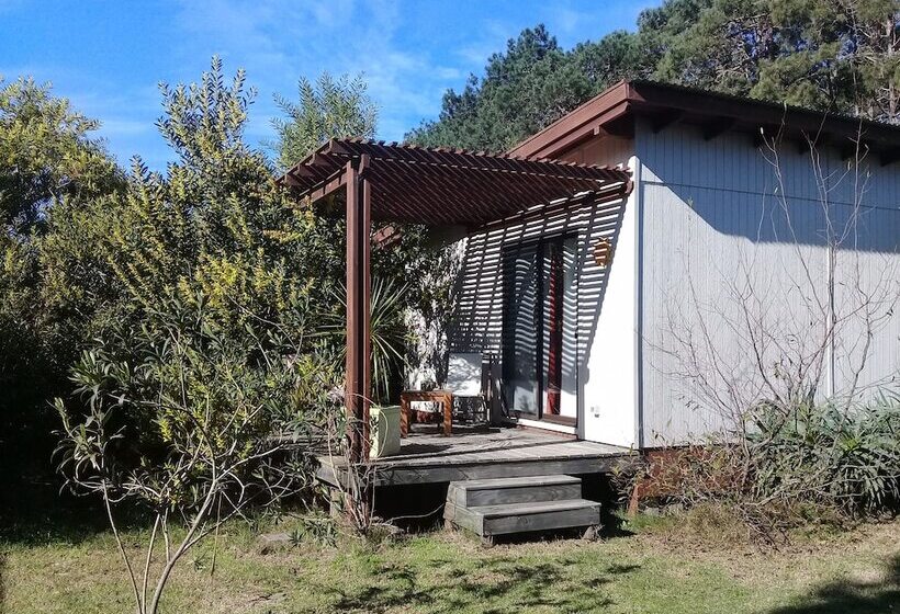 Bed and Breakfast La Maison Suites & Gastronomía