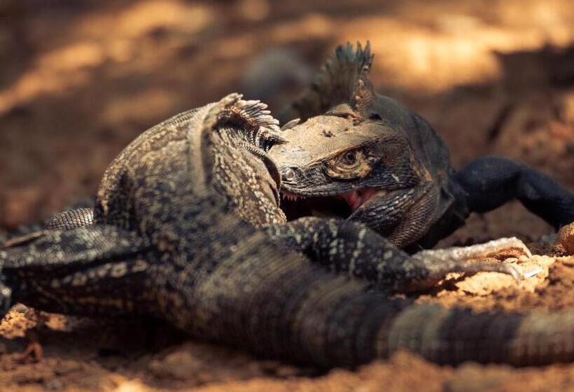 민박 Seagull Cove Resort