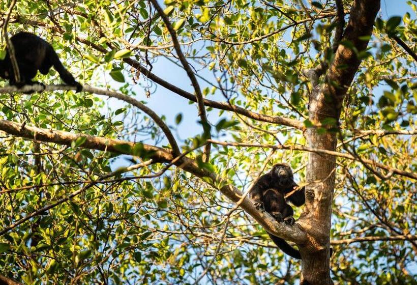 민박 Seagull Cove Resort