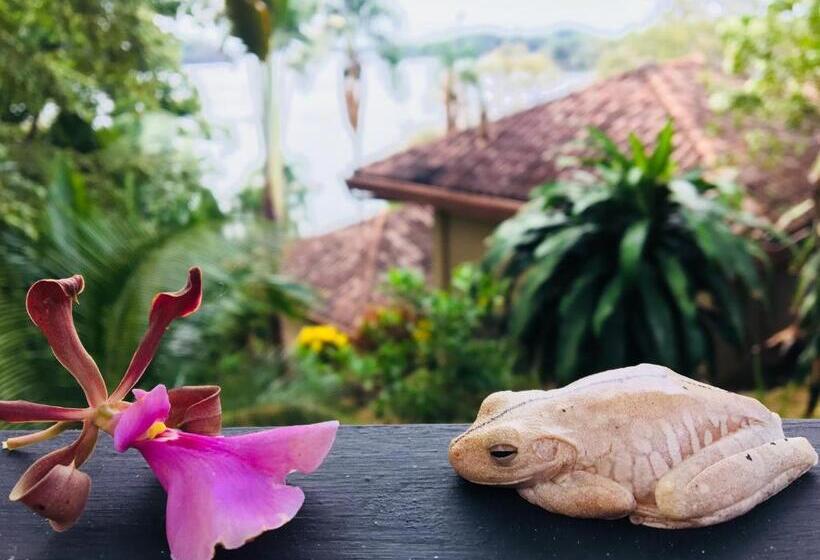 مبيت وإفطار Seagull Cove Resort