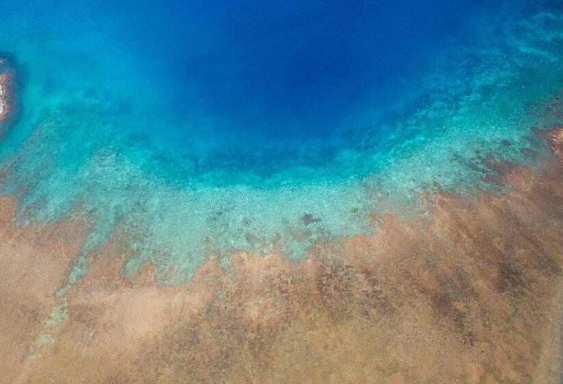 민박 Seagull Cove Resort