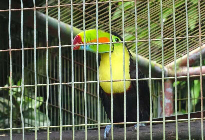 ベッドアンドブレックファースト Villa Botero By Casa Mojito