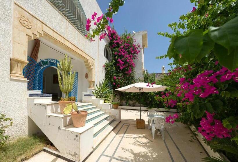 住宿加早餐 Villa Phoenicia