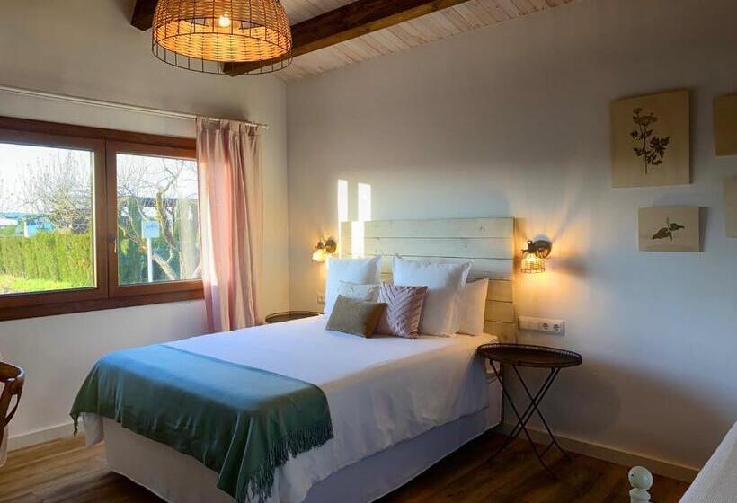 Bed & Breakfast Wine & Cooking Penedes