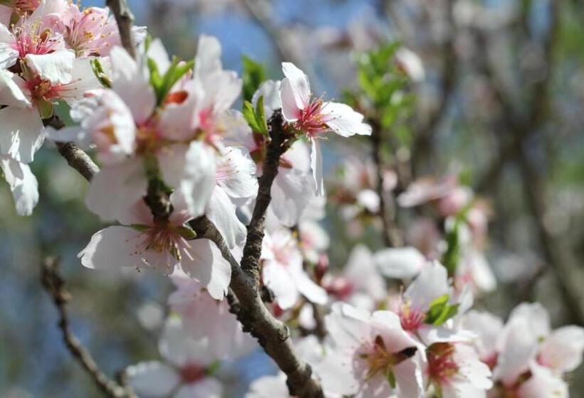 Bed & Breakfast Wine & Cooking Penedes