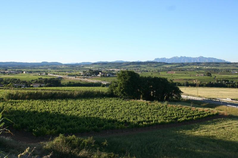 Bed & Breakfast Wine & Cooking Penedes