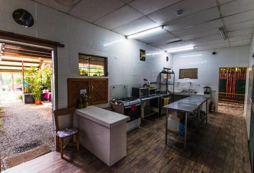 Bodhi Hostel & Lounge