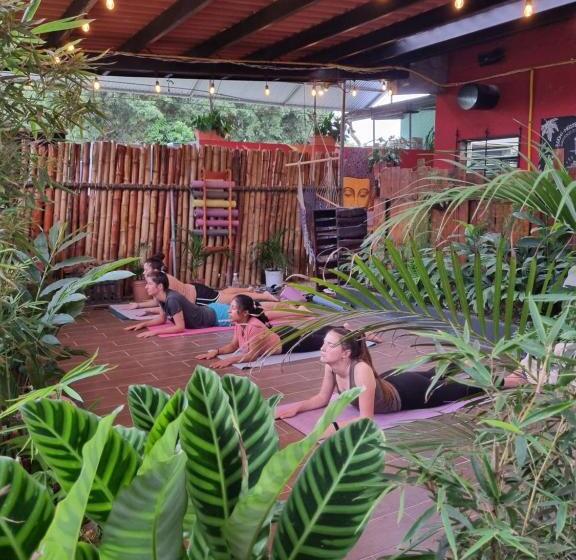 Bodhi Hostel & Lounge