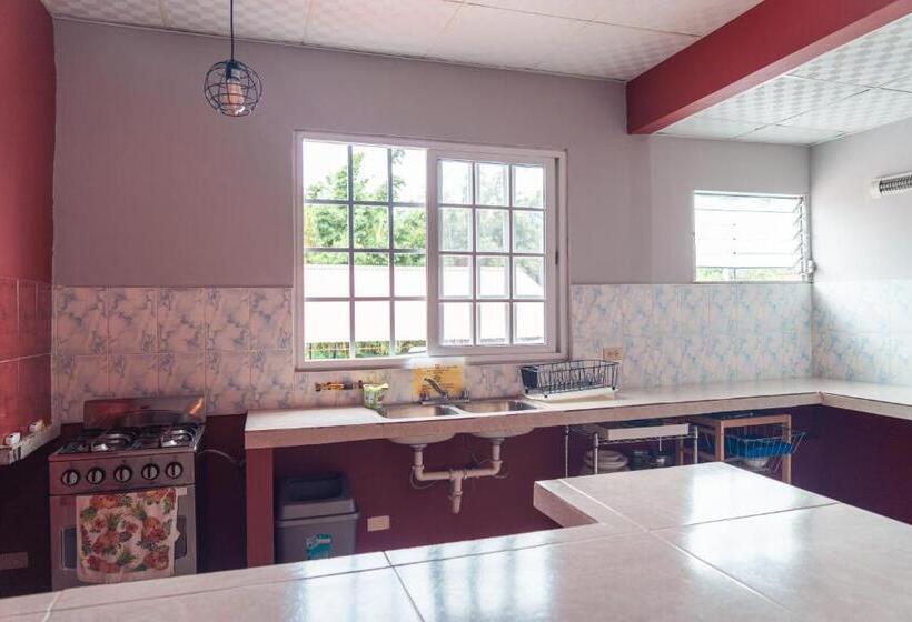 Bodhi Hostel & Lounge