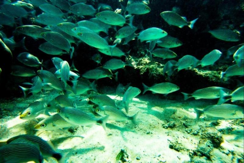 Casa Del Sol Bed And Breakfast