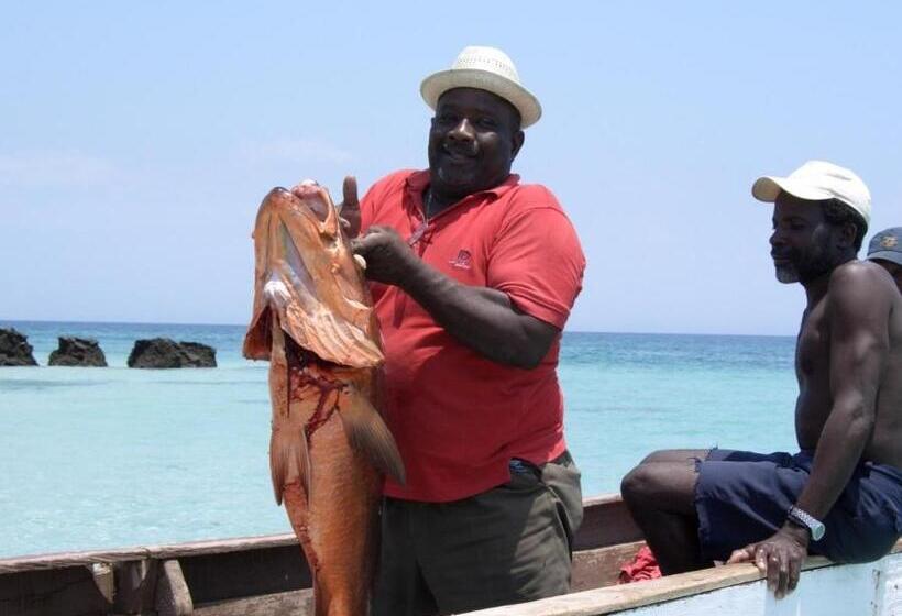 Casa Del Sol Bed And Breakfast