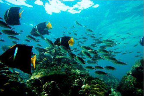 Casa Del Sol Bed And Breakfast