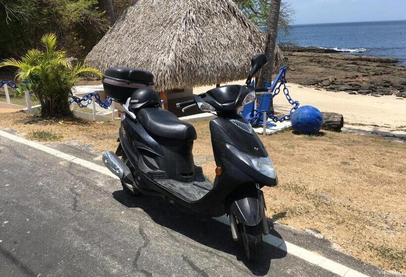 Casa Del Sol Bed And Breakfast