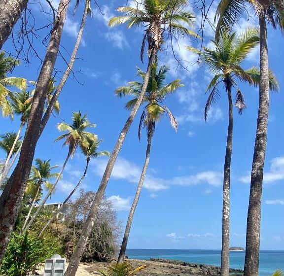 Casa Del Sol Bed And Breakfast