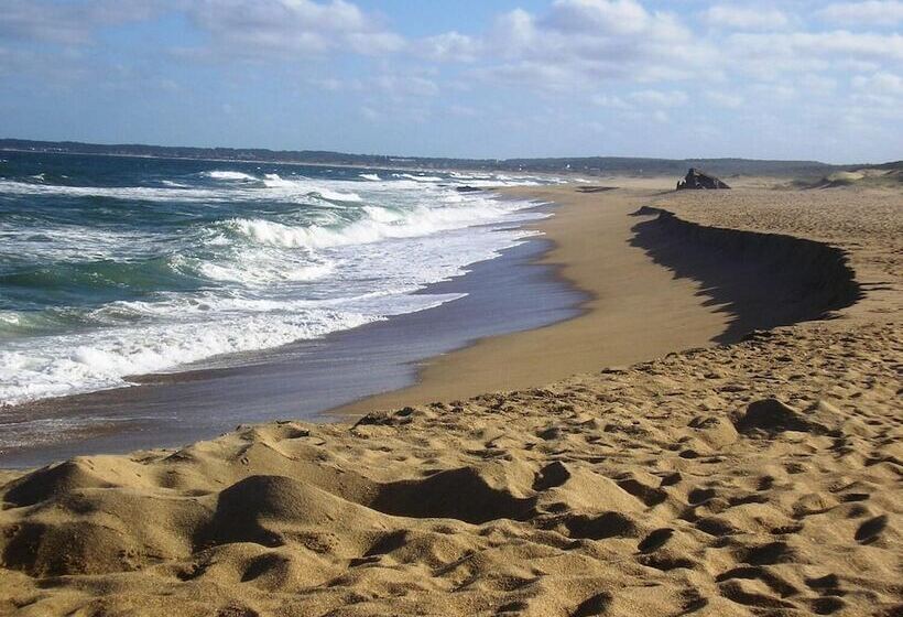 Compay Hostel La Pedrera