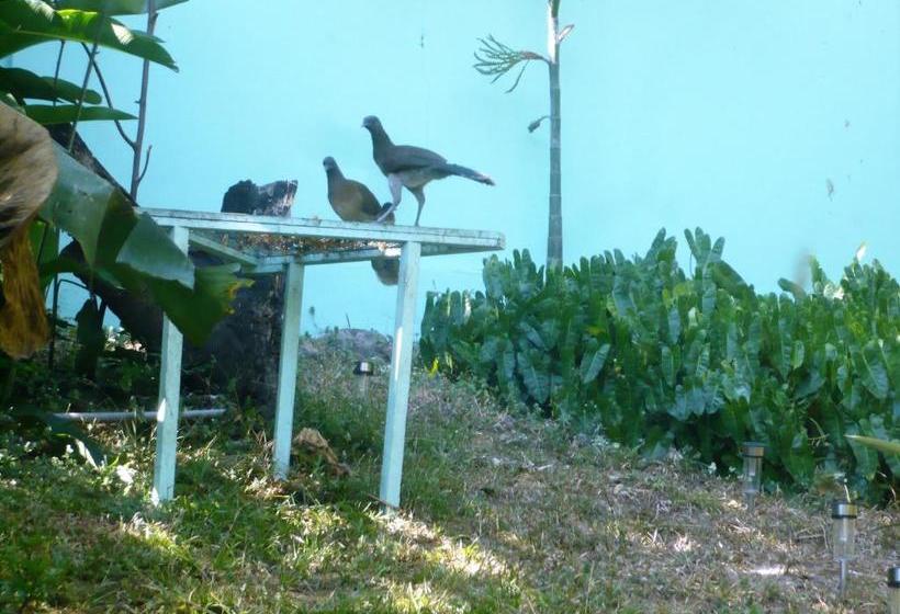 Dos Palmitos Bed And Breakfast