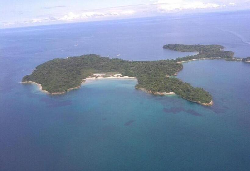 Hibiscus House Bed And Breakfast