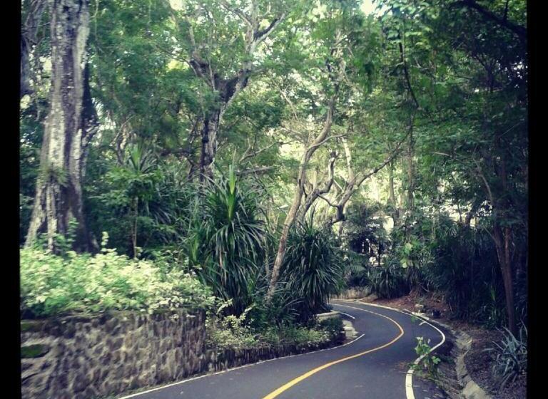 Hibiscus House Bed And Breakfast